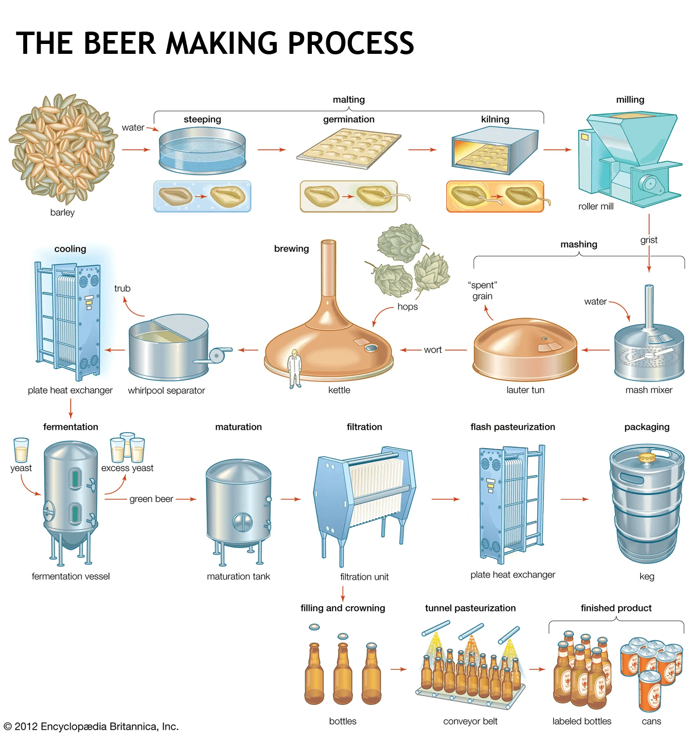 Beer production process - scheme